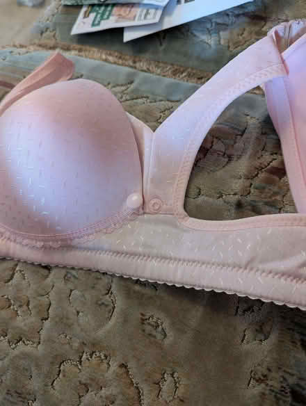 Photo of free Nursing bra - Pink NWT (Whoberley CV5) #2