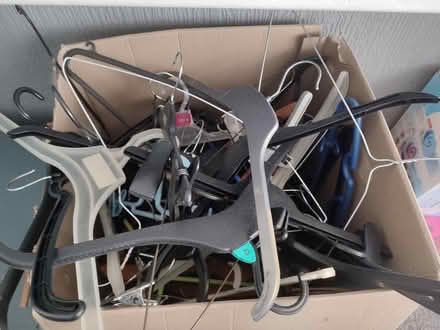 Photo of free Box of hangers (Barry CF62) #1