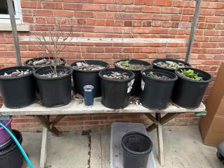 Photo of free Plastic pots (By WJHS) #1