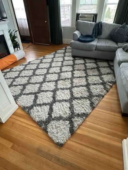 Photo of free last call before trash* 8x10 rug (Malden) #1