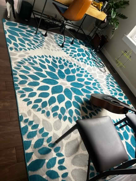 Photo of free 7x9 rug (Park view\Petworth) #1