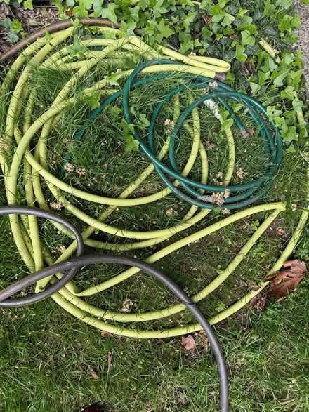 Photo of free 4 garden hoses (North Ballard) #1