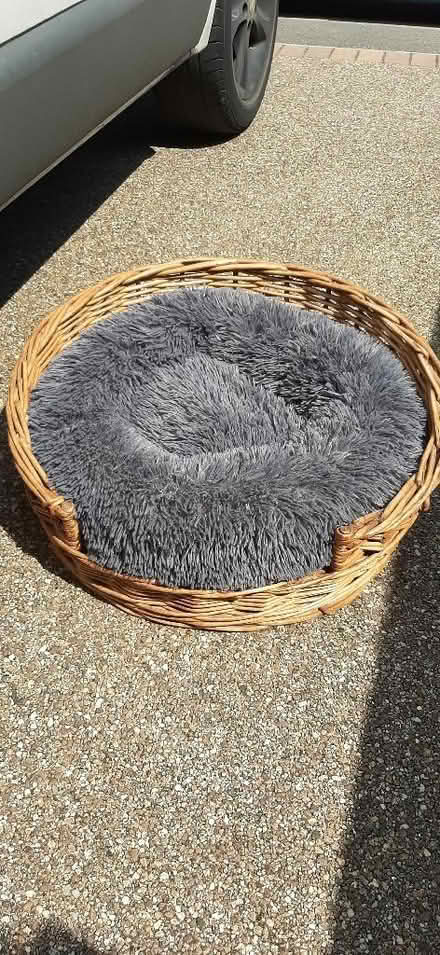 Photo of free Pet bed (Nunnery Wood WR5) #1
