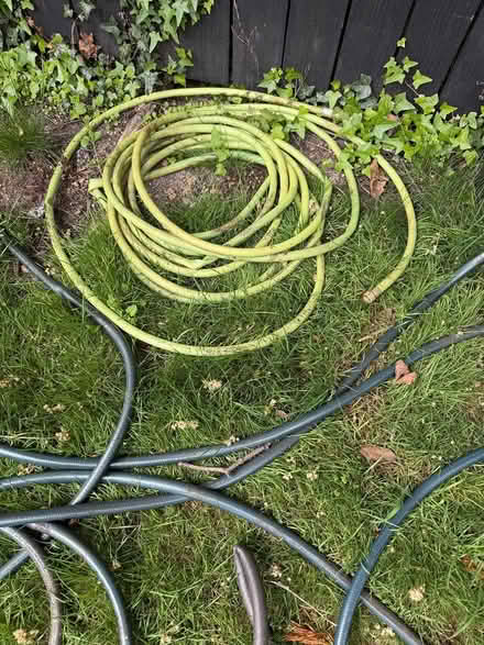 Photo of free 4 garden hoses (North Ballard) #3
