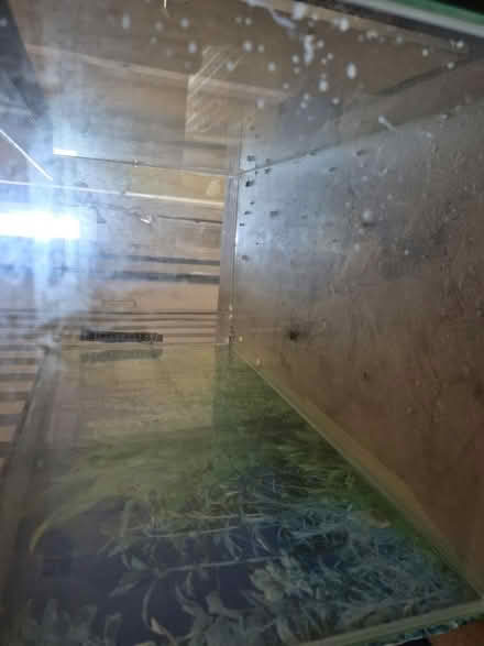 Photo of free Small fish tank (Walkers Heath B38) #2