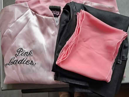 Photo of free Pink ladies,Grease (Offerton SK2) #1