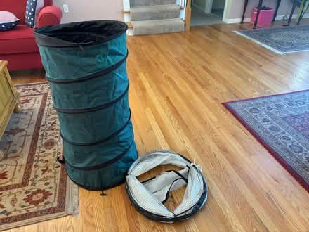 Photo of free 3 tomato and shrub protector (South County/Oakville) #1