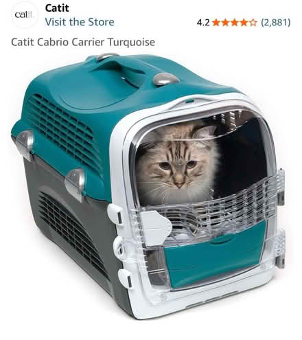 Photo of free Cat carrier (Asda Old Kent Rd) #2