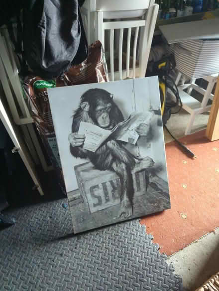 Photo of free Wall canvas (Sheffield intake S12) #1
