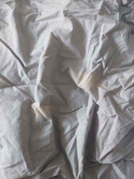 Photo of free 100% greyish cotton double sheet (Upper Wolvercote OX2) #2