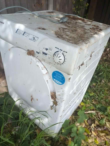 Photo of free Tumble dryer, condensed (Bengeo, Hertford SG14) #1