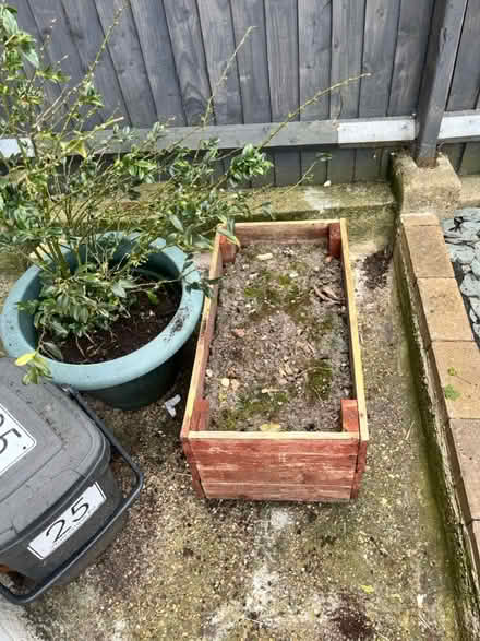 Photo of free Various plants, soil, trough & pots (South Norwood SE25) #4