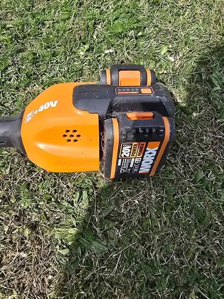 Photo of free Grass strimmer (Botley SO30) #3