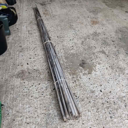 Photo of free Bamboo canes (Chineham RG24) #1