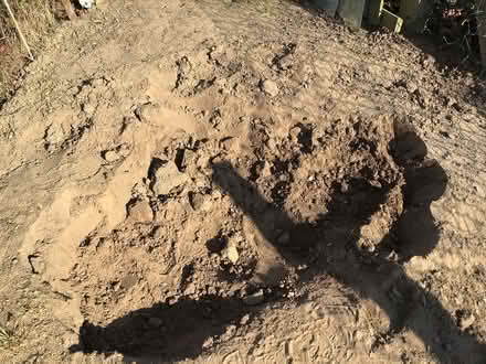 Photo of free Bags of top soil (North Walsham, NR28) #1