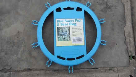 Photo of free Sweet Pea and Bean Ring (Wilmslow SK9) #1