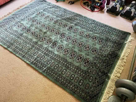 Photo of free Green Persian rug (Whitegrove RG42) #1