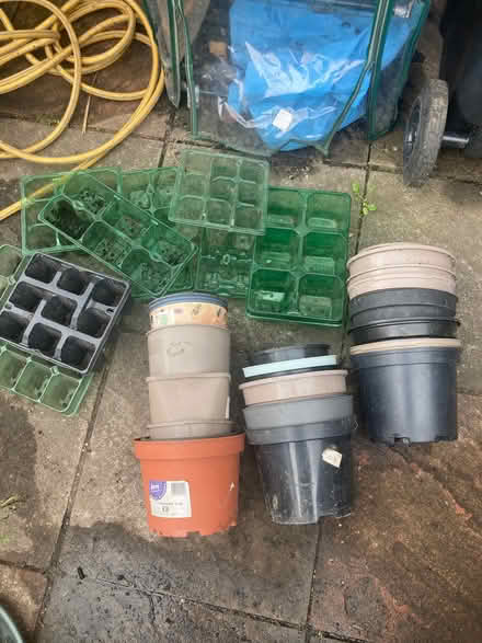 Photo of free Large plant pots n plug trays (Ifton Heath SY11) #1