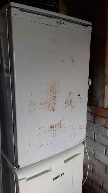 Photo of free Under counter fridge and freezer (Frome BA11) #4