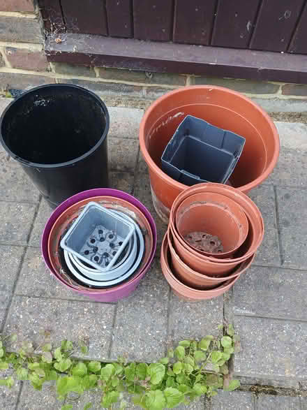Photo of free Used plastic plant pots (Horsell, Woking GU21) #1