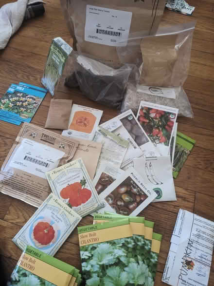 Photo of free Seeds For planting (Tingley Beach) #1