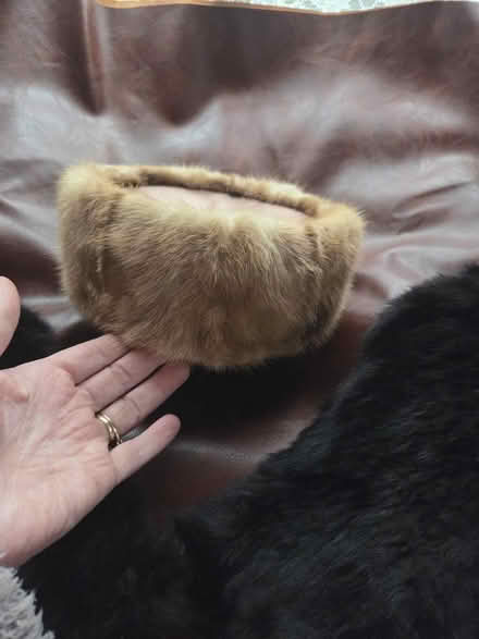Photo of free Mink hat and collar (Milton Randolph Area) #1