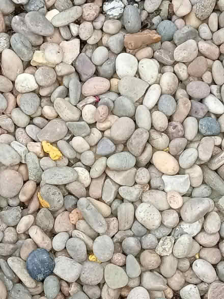 Photo of free garden pebbles (ME5) #1