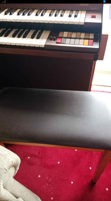 Photo of free Electric organ (Pebsham TN40) #1