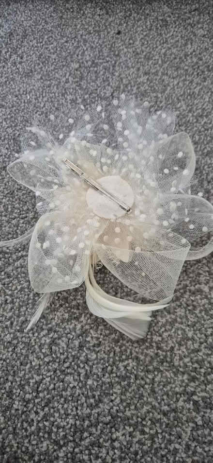 Photo of free Fascinator hair clip cream (Wd64tb WD6) #1