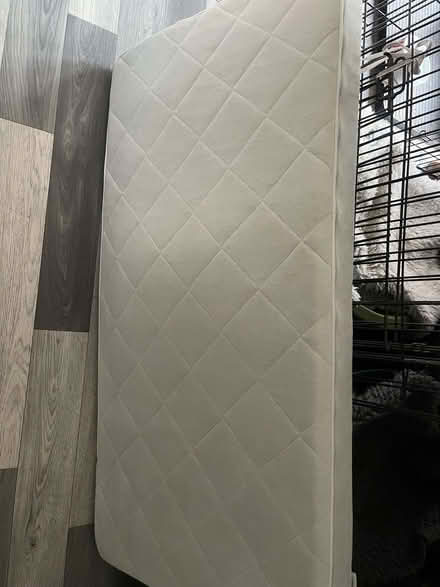 Photo of free Cot mattress (Foxholes DY10) #1
