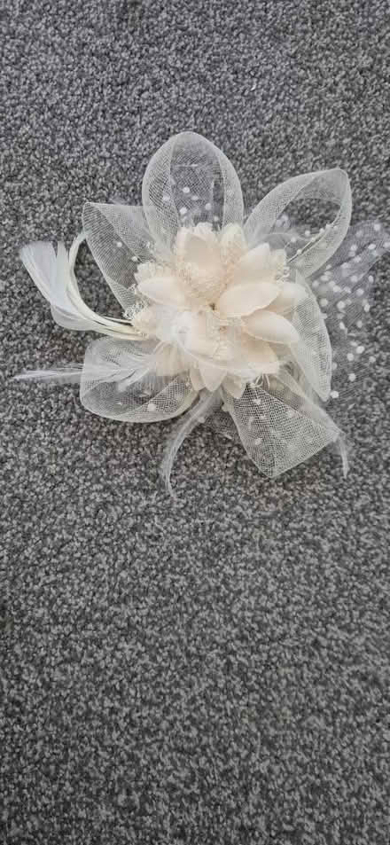 Photo of free Fascinator hair clip cream (Wd64tb WD6) #2