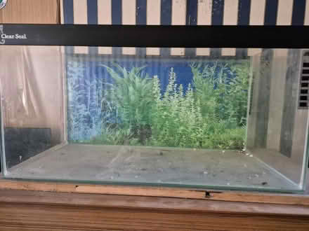 Photo of free Small fish tank (Walkers Heath B38) #3