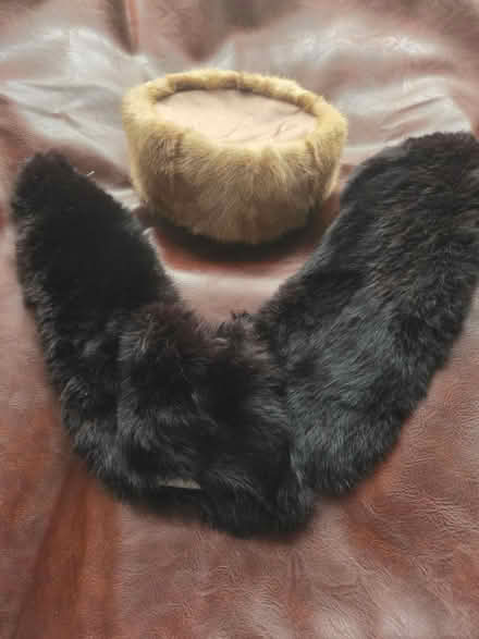 Photo of free Mink hat and collar (Milton Randolph Area) #2