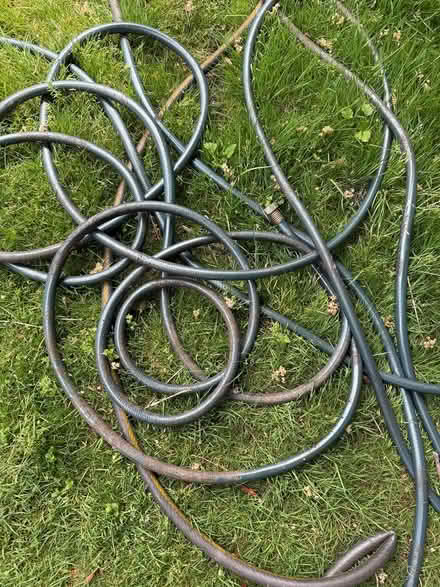 Photo of free 4 garden hoses (North Ballard) #2