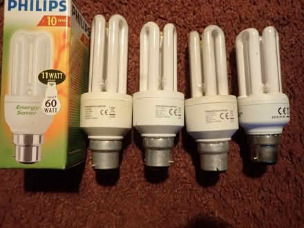 Photo of free Energy saving light bulbs. (Greenhill BA3) #1