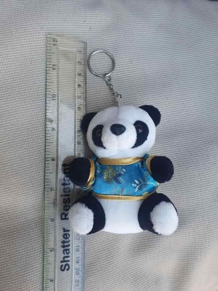 Photo of free Panda keyring (Manor Road N17) #1