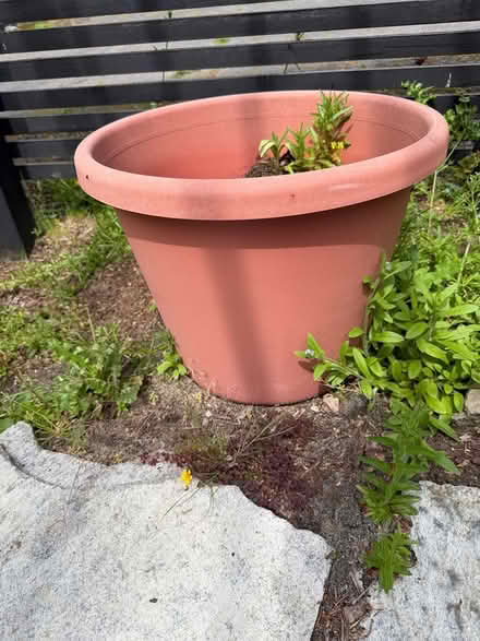 Photo of free Medium large size plant pots (North Ballard) #1