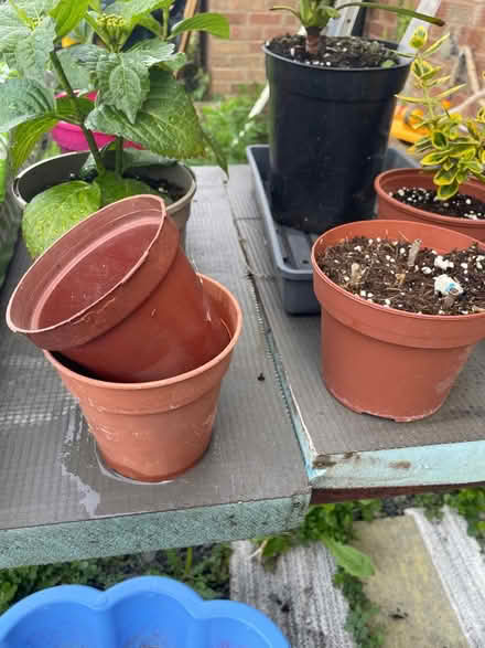 Photo of a few pots (Malvern WR14) #1