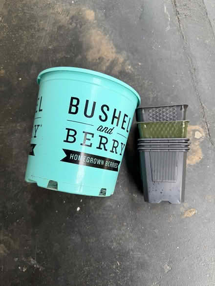 Photo of free plastic nursery pots (North Ballard) #1