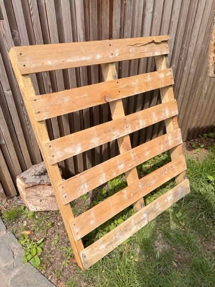 Photo of free Good condition pallet (Headington OX3) #1