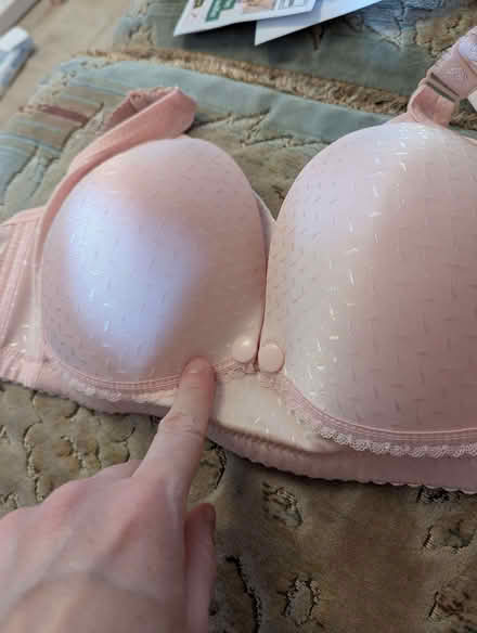 Photo of free Nursing bra - Pink NWT (Whoberley CV5) #1