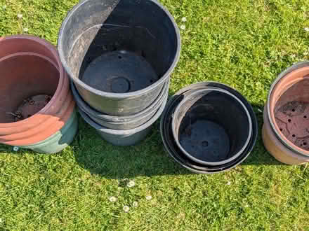 Photo of free Large plant pots (Lindfield RH16) #3