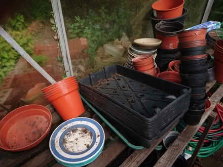 Photo of free Plant Pots (Copt Hewick HG4) #4
