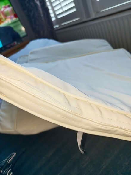 Photo of free Garden chair cushions (Charminster BH8) #2