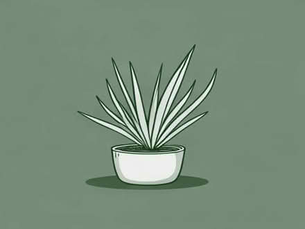 Photo of free Baby spider plants (Highbury Barn N5) #1
