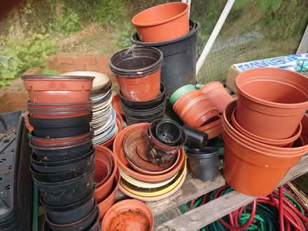 Photo of free Plant Pots (Copt Hewick HG4) #3