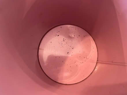 Photo of free Taylor Swift Popcorn Bucket (BR3) #3