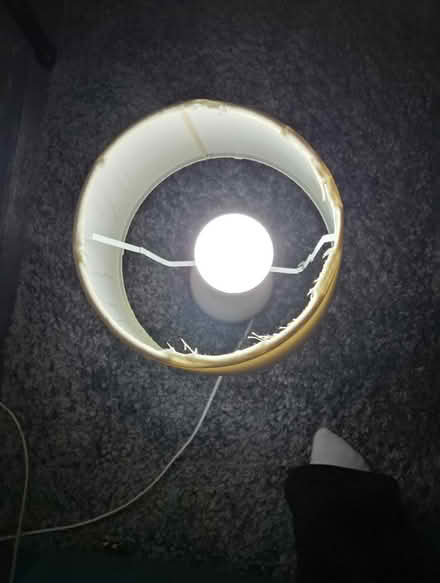 Photo of free Lamp (Manchester M12) #2