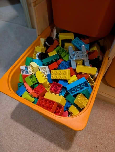 Photo of free Basic Duplo Blocks (Carson Grove) #1