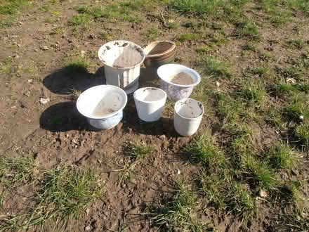 Photo of free Collection of ceramic flower pot. (Newnham RG27) #2